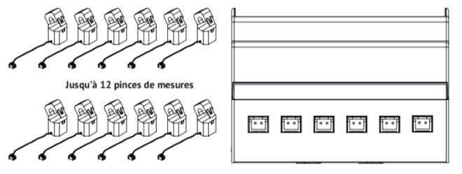 Jusqu'à 12 pinces de mesure pour le capteur IoT LoRa SQUID de notre partenaire Ewattch