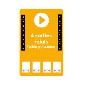 Carte additionnelle TYNESS-OPT-RELAIS